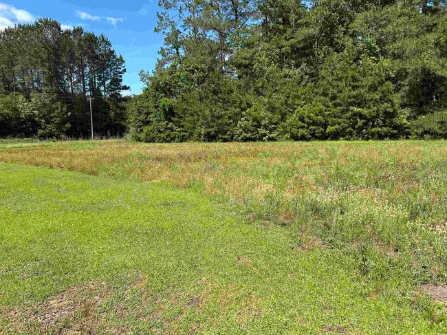 444 Davis Rd, House other with 3 bedrooms, 2 bathrooms and 10 parking in Hemingway SC | Image 15
