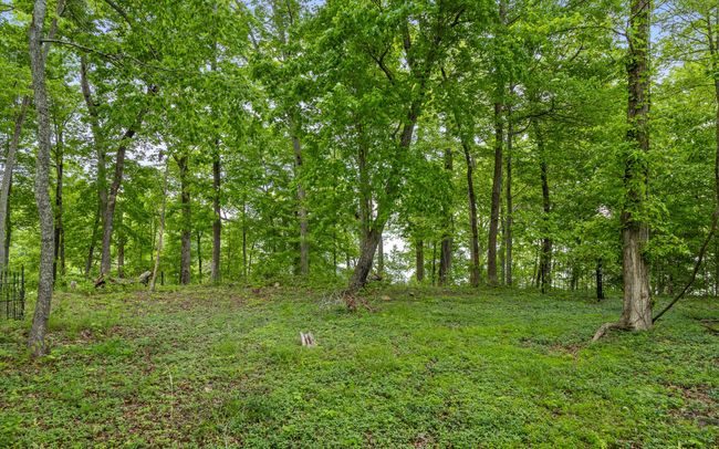 15913 Channel Point Dr, Home with 0 bedrooms, 0 bathrooms and null parking in Sale Creek TN | Image 20