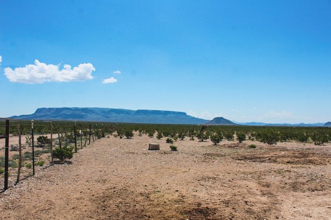 View of mountain background | Image 8