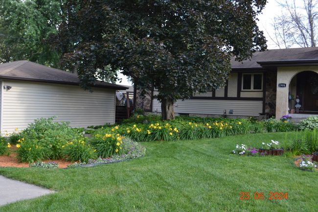 Perennial gardens adding a pop of color through the summer months | Image 57