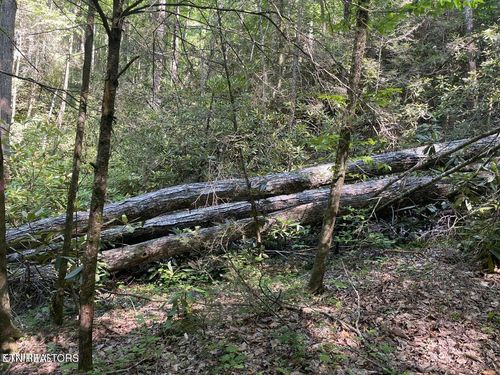 Lot 6 Sycamore Dr, Sevierville, TN, 37876 | Card Image
