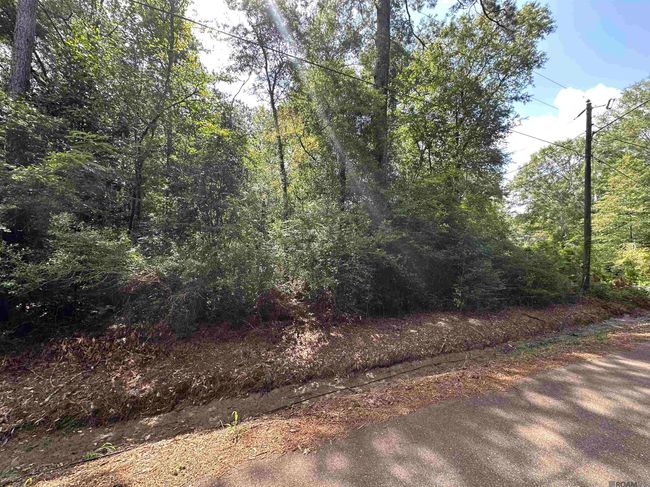 26.85 Acres Heritage Acres Ln, Home with 0 bedrooms, 0 bathrooms and null parking in Robert LA | Image 12