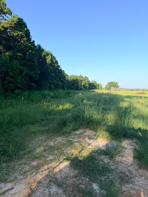000 County Road 3114, Buna, TX, 77612 | Card Image