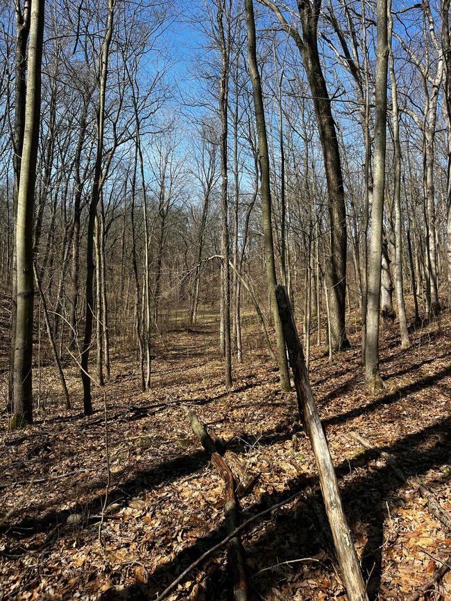 12100 Woodland Trl, Home with 0 bedrooms, 0 bathrooms and null parking in Davisburg MI | Image 4