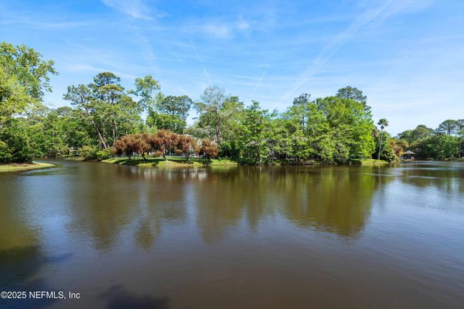 12300 Arbor Dr, House other with 4 bedrooms, 4 bathrooms and null parking in PONTE VEDRA BEACH FL | Image 48