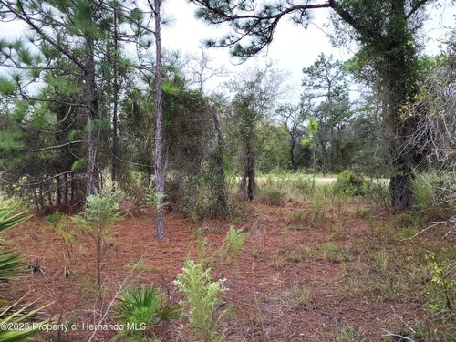 0 Motmot Rd, Brooksville, FL, 34614 | Card Image