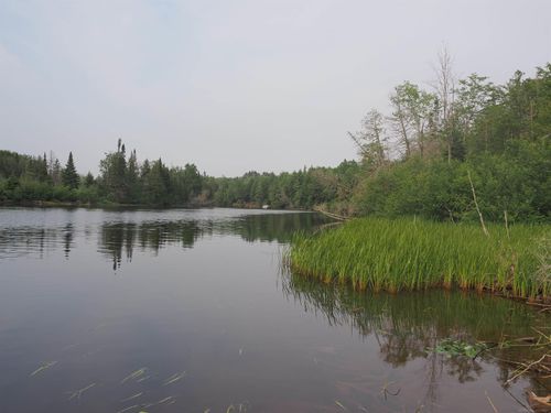 1 Curlys Blvd, Eckerman, MI, 49728 | Card Image