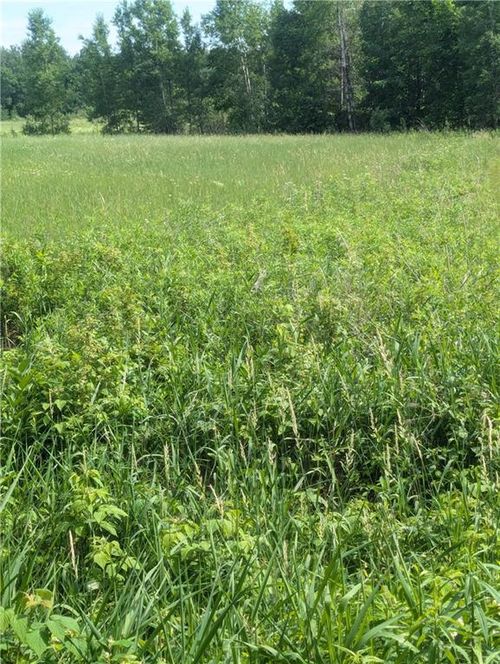 Lot 2 165th Ave, Stanley, WI, 54768 | Card Image