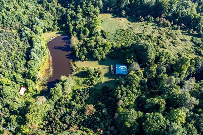 306 Bear Branch Rd, Home with 0 bedrooms, 0 bathrooms and null parking in Roan Mountain TN | Image 23