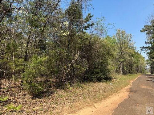 TBD County Road 4450, Bivins, TX, 75555 | Card Image