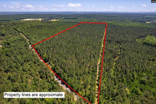 TBD Toms Creek Road, Hopkins, SC, 28061 | Card Image