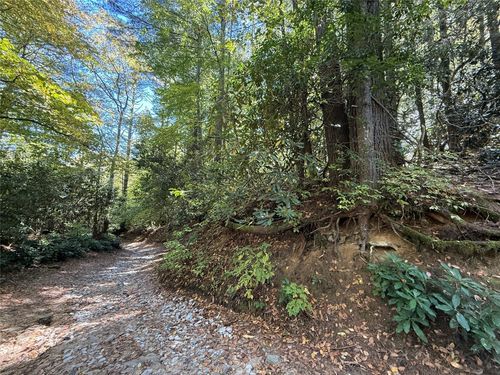 LOT BC Blindside Ln, Cashiers, NC, 28717 | Card Image