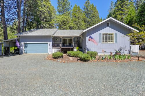 20000 Circle View Dr, Pioneer, CA, 95666-8817 | Card Image