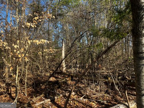 0 Alpine Way, Lavonia, GA, 30553 | Card Image