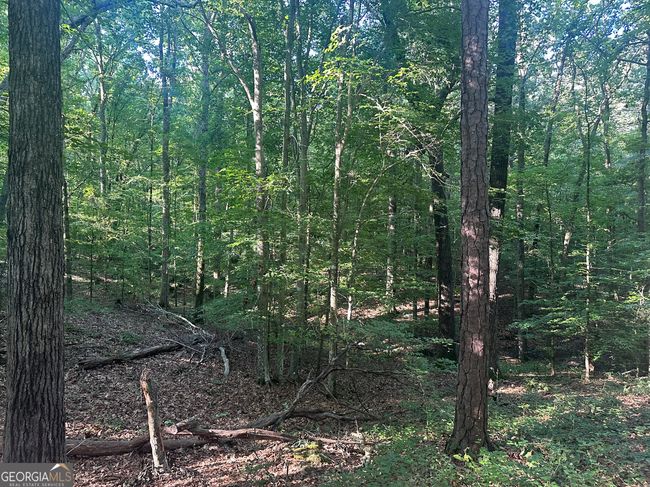 0 Highway 72 E, Home with 0 bedrooms, 0 bathrooms and null parking in Carlton GA | Image 10