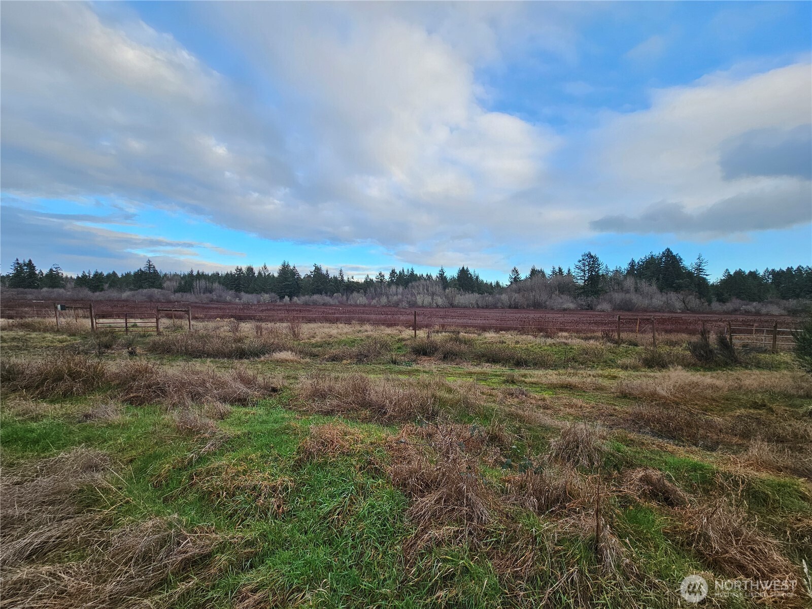 Land in Lakebay 4