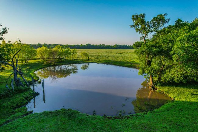 Water view | Image 30