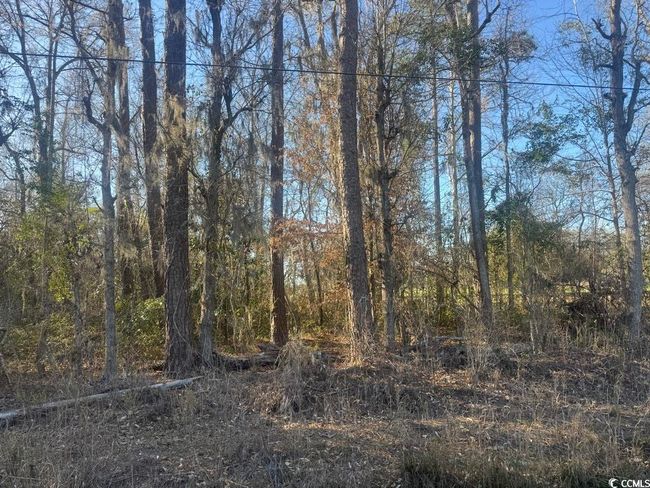 2135 Highway 646, Home with 0 bedrooms, 0 bathrooms and null parking in Green Sea SC | Image 5
