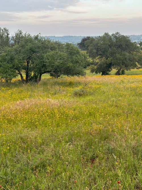 100 Ridge, Horseshoe Bay, TX, 78657 | Card Image