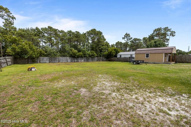 Back yard. | Image 39