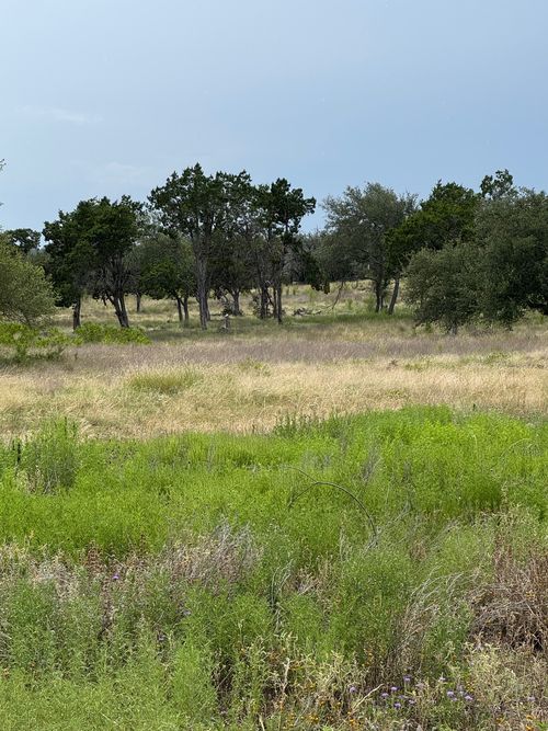 251 Pioneer Trl, Dripping Springs, TX, 78620-4177 | Card Image