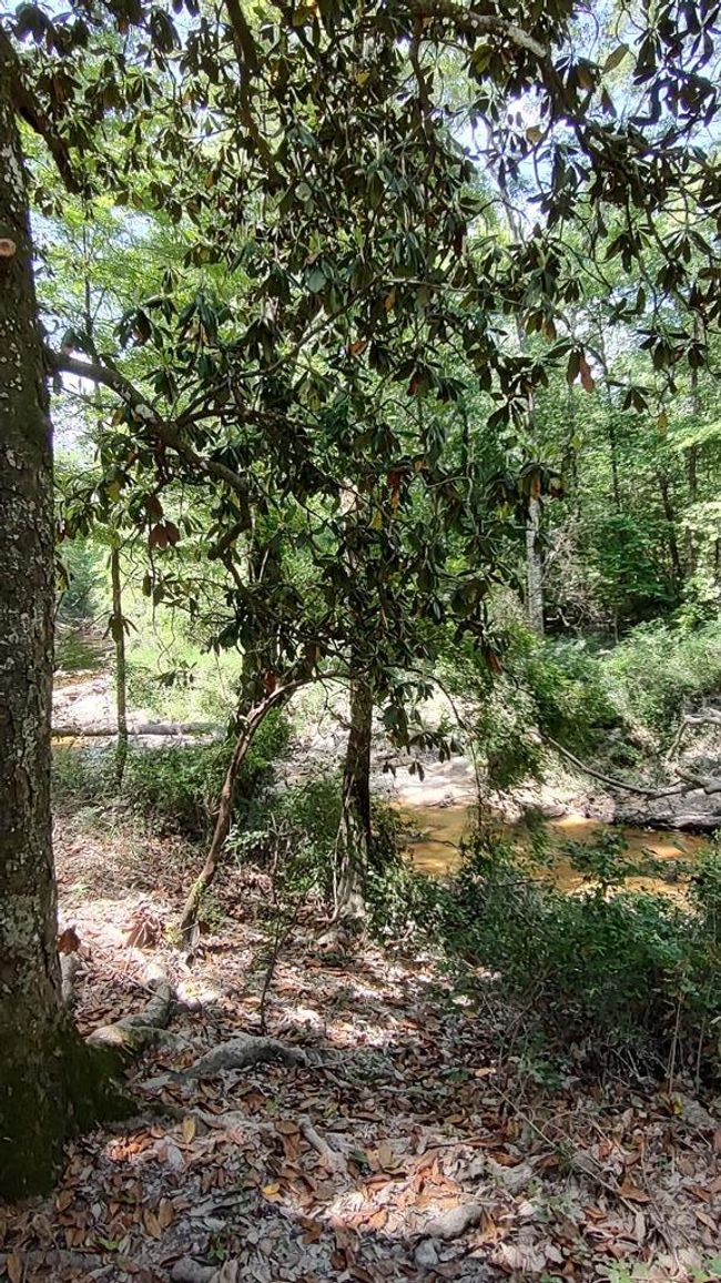 110 Rosenbaum Dr, House other with 2 bedrooms, 1 bathrooms and null parking in Poplarville MS | Image 27