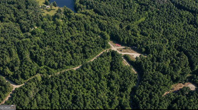 Land in Ellijay 3