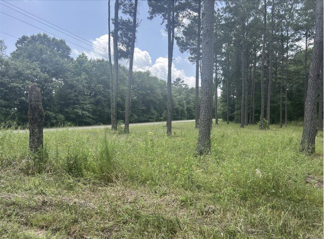 185 Forrest Rd, Home with 0 bedrooms, 0 bathrooms and null parking in Huntington TX | Image 16
