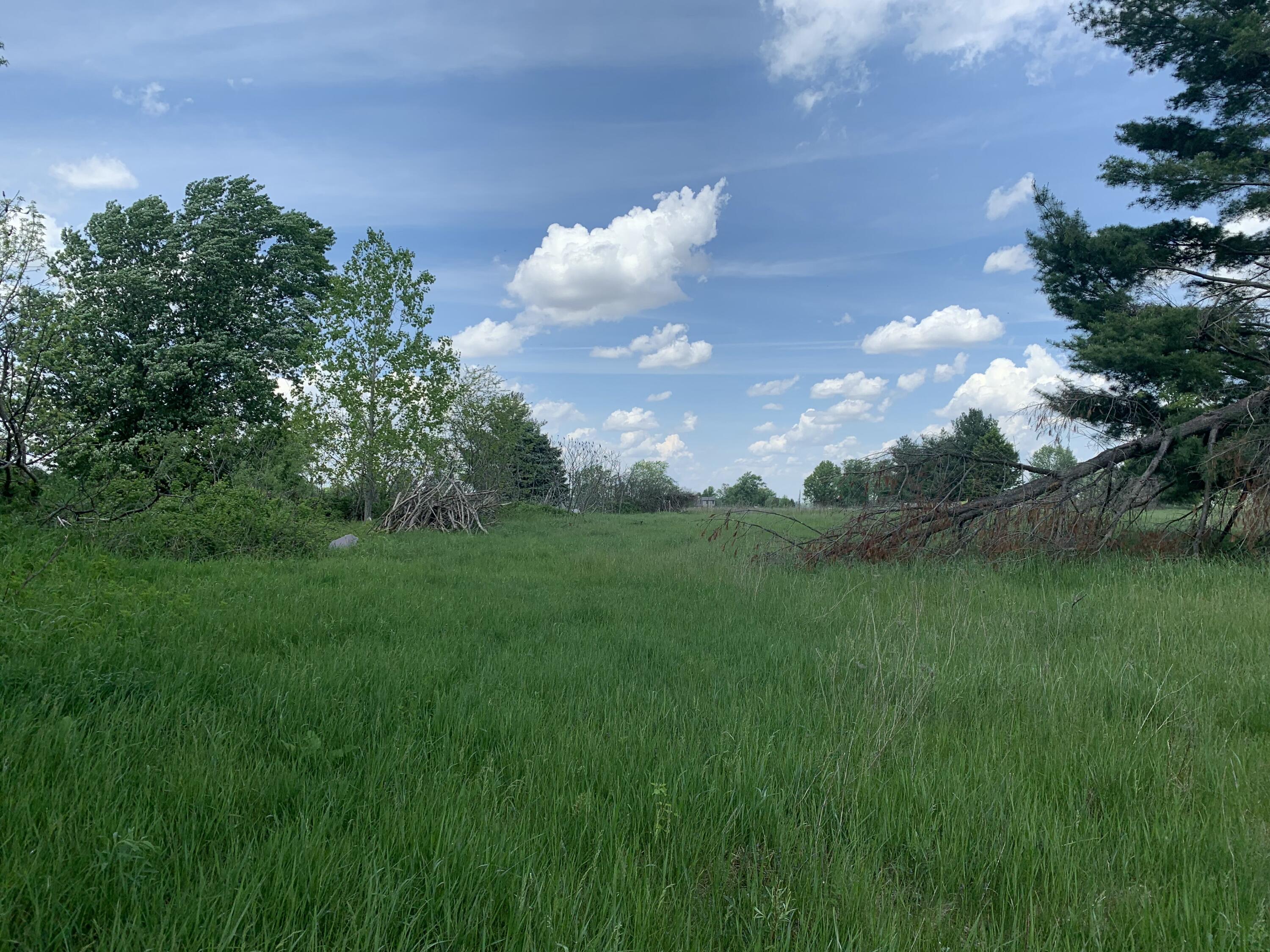 Land in Bronson 3