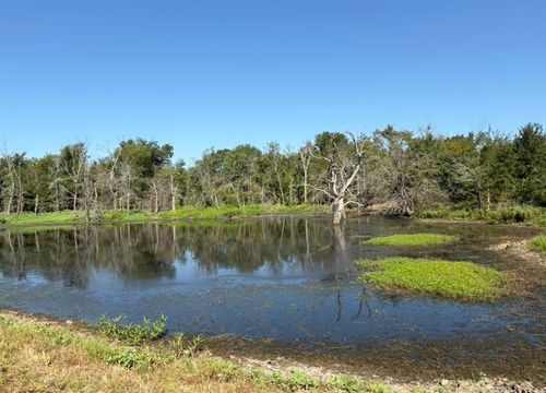 TBD County Road 4744, Sulphur Springs, TX, 75482 | Card Image