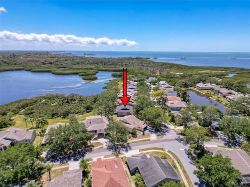 1003 Teal Pointe, TARPON SPRINGS, FL, 34689-7130 | Card Image