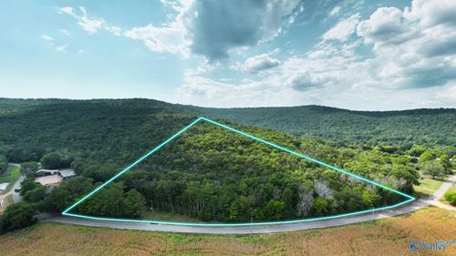 TBD County Rd 42, Hollywood, AL, 35752 | Card Image