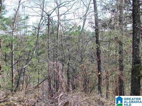 vacant-61-acres-0000 Cogswell Avenue, PELL CITY, AL, 35125 | Card Image