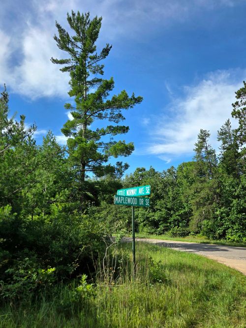 TBD Tbd, Bemidji, MN, 56601 | Card Image