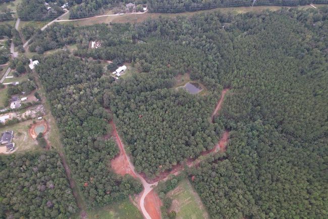 00 Burgetown Rd, Home with 0 bedrooms, 0 bathrooms and null parking in Carriere MS | Image 4