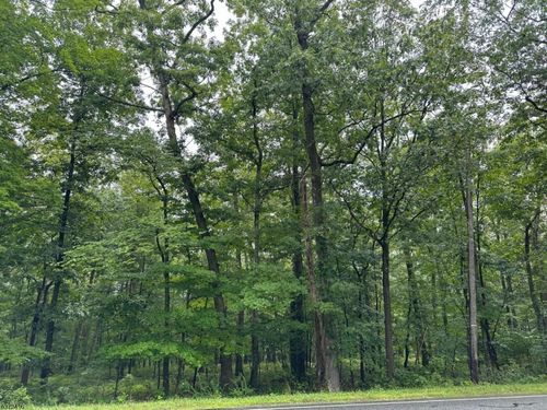 220 Mattison Reservoir Ave, Branchville, NJ, 07826-4118 | Card Image