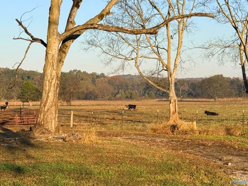 53 Acres S Danville Rd, Danville, AL, 35619-6652 | Card Image