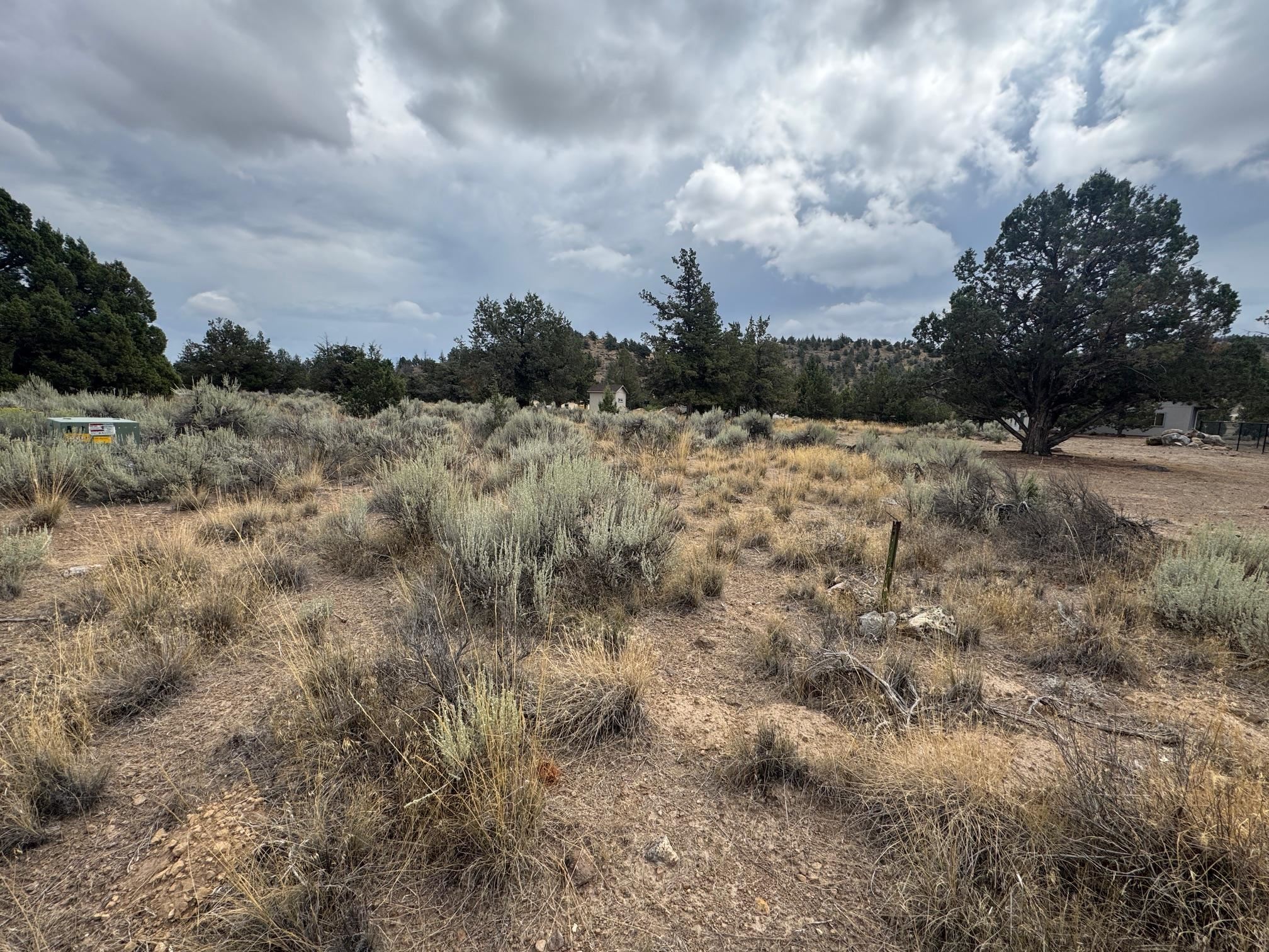 Land in Weed 4