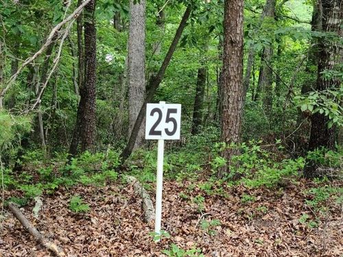 Lot 25 Belle Isle Dr, Union Hall, VA, 24176-4178 | Card Image
