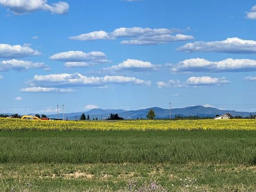 343XX N Spotted Rd, Deer Park, WA, 99006 | Card Image