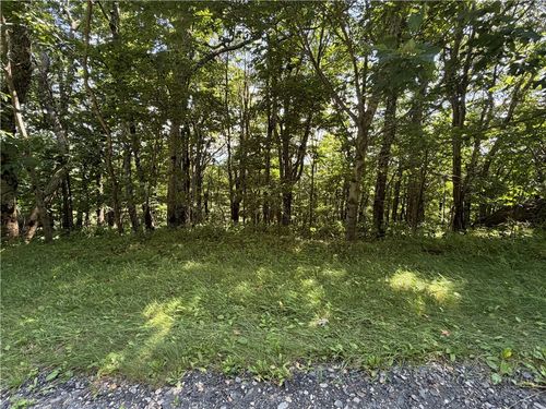 TBD Pinnacle Dr, West Jefferson, NC, 28694 | Card Image