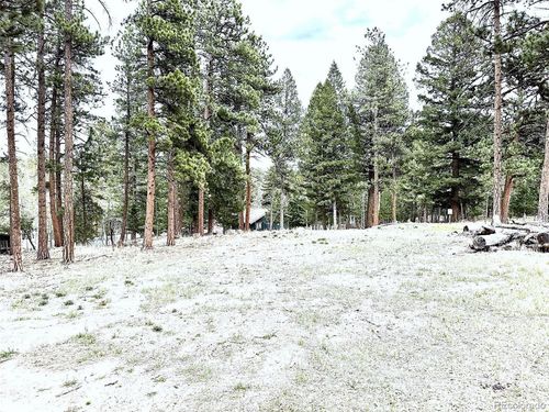 252 Beaver Trl, BAILEY, CO, 80421-1804 | Card Image