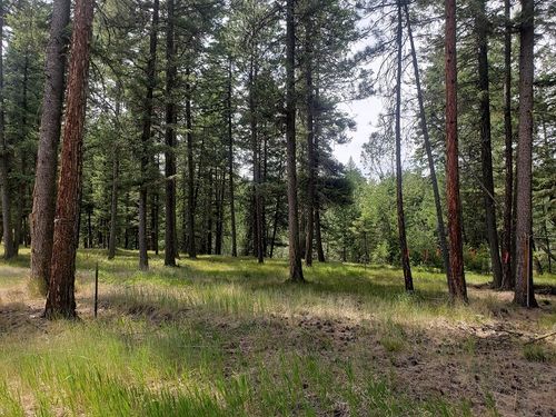 19425 Pond Rd, Frenchtown, MT, 59834-9638 | Card Image