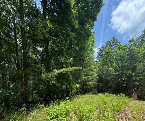 67-Lot #67 Sunrise Cove Trail, Monticello, KY, 42633 | Card Image