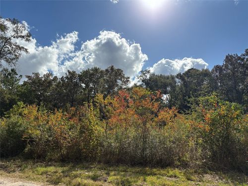 27404 Coral Rd, Splendora, TX, 77372-6012 | Card Image