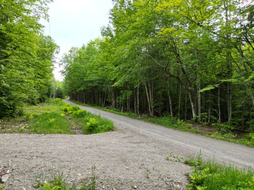 32 Bearce Road, Lakeville, ME, 04487 | Card Image