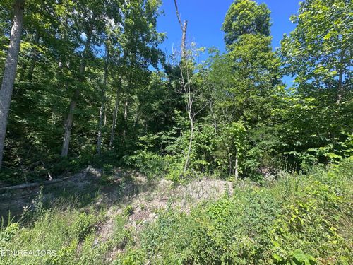1020 Tomahawk Rd, Jamestown, TN, 38556 | Card Image