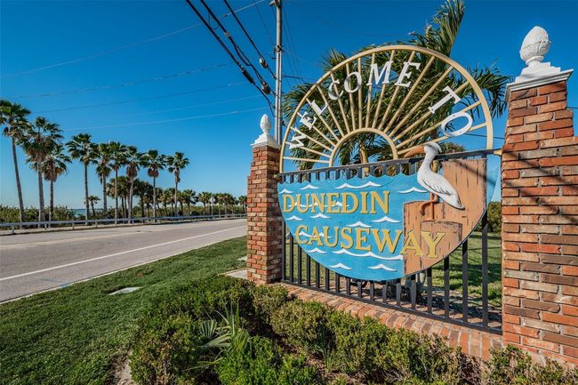 Dunedin Causeway Located Minutes Away! | Image 65