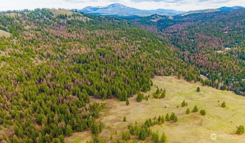 0 Cougar Creek Rd, Wauconda, WA, 98859 | Card Image