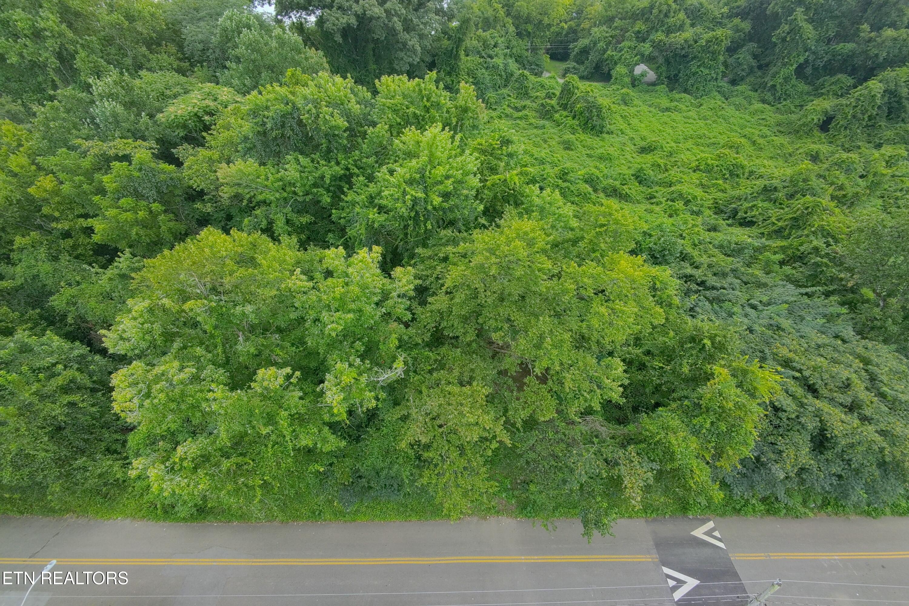 Land in Knoxville 2